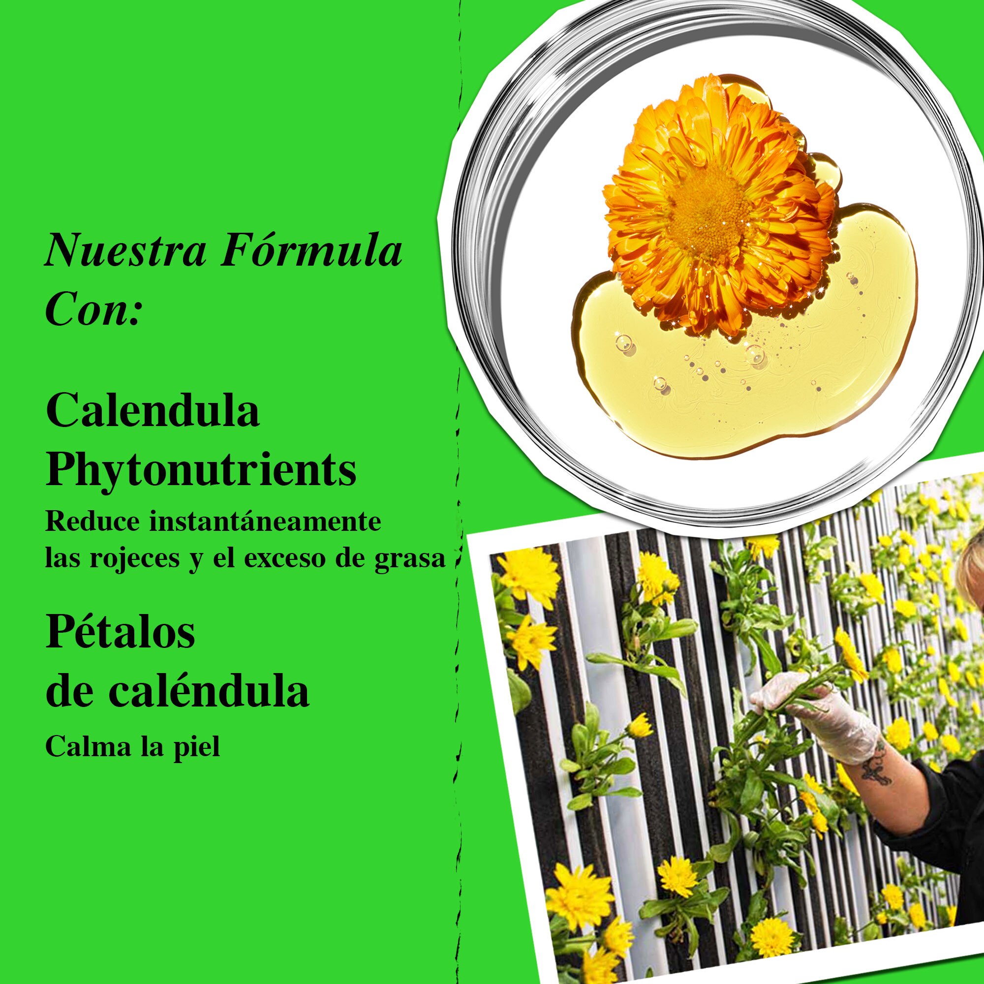 WINTER SKIN SOOTHERS CALENDULA DUO (SET DE CUIDADO DE LA PIEL)